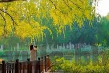 足球竞猜比分直播球-足球竞猜比分直播球，激情与智慧交织的绿茵盛宴